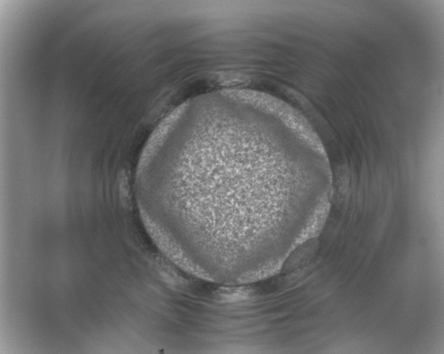 X0000065960667200603241848