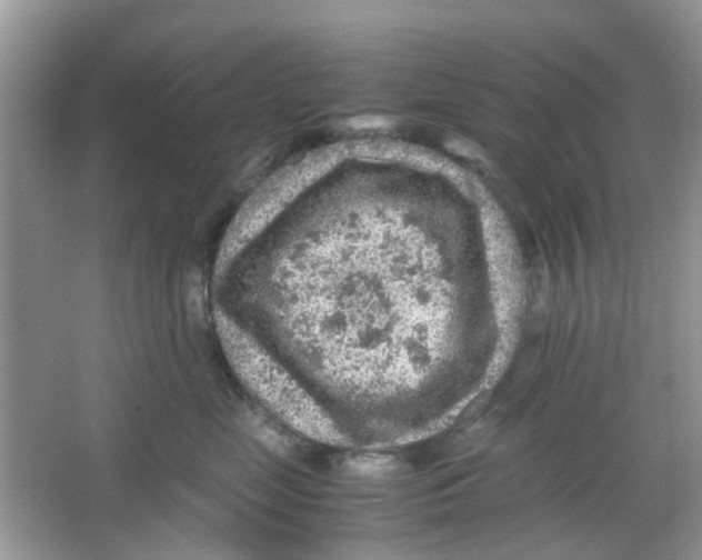 X0000065960669200603241848