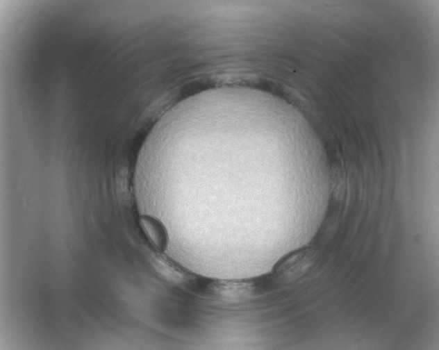 X0000065960670200603241848