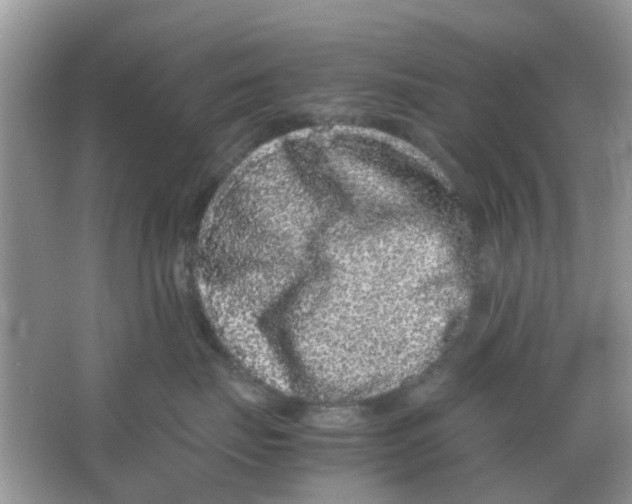 X0000065960671200603241848