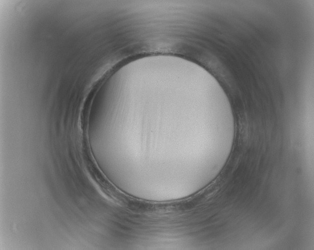 X0000065960674200603241848