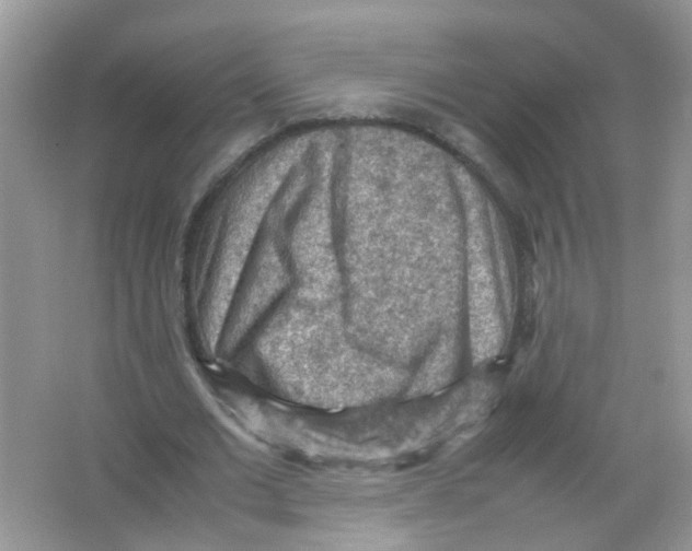 X0000065960677200603241848