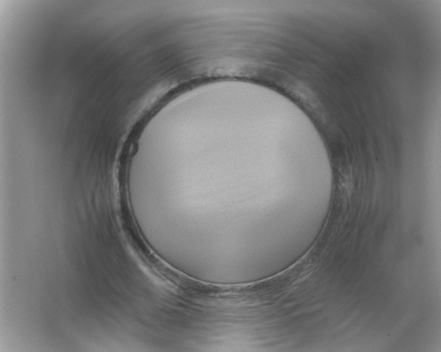 X0000065960678200603241848