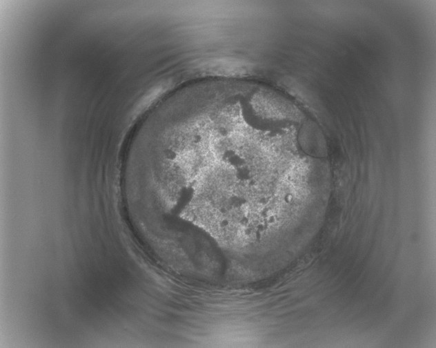 X0000065960679200603241848