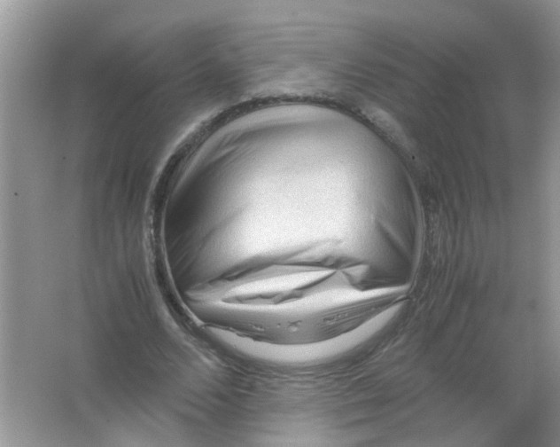 X0000065960680200603241848