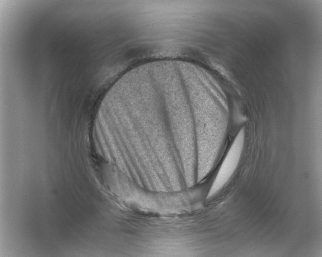 X0000065960681200603241848