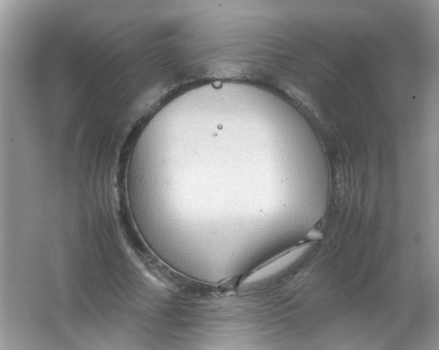 X0000065960682200603241848