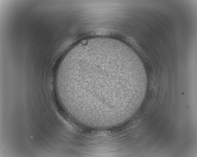 X0000065960683200603241848