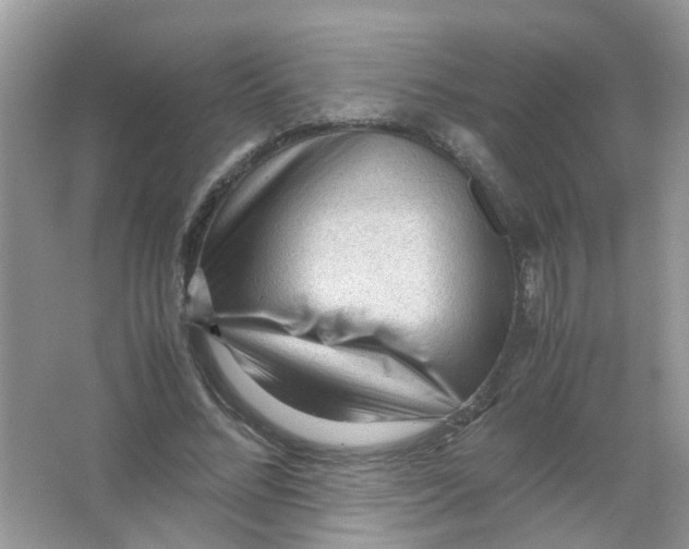 X0000065960684200603241848