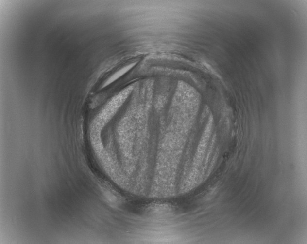 X0000065960685200603241847