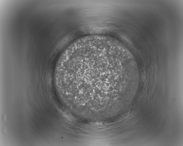 X0000065960687200603241847