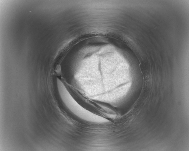 X0000065960688200603241847