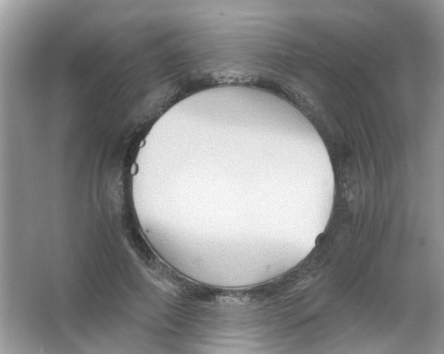 X0000065960690200603241847