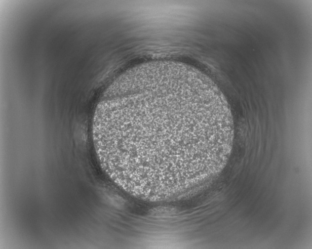 X0000065960691200603241847