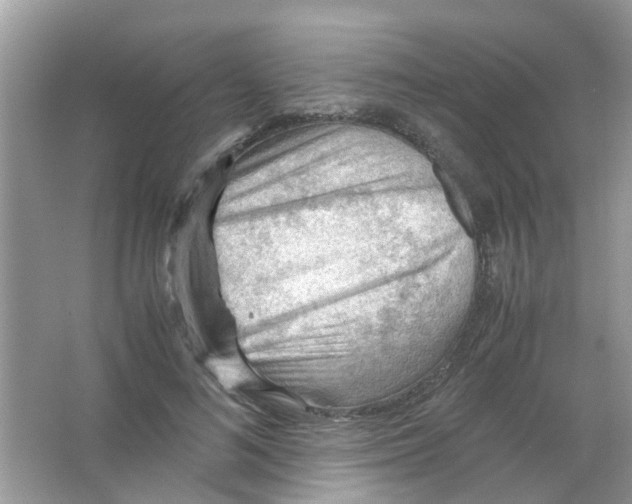 X0000065960692200603241847