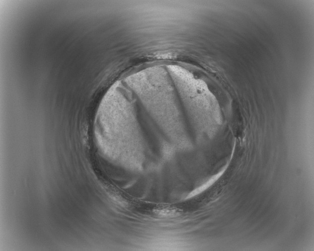 X0000065960693200603241847