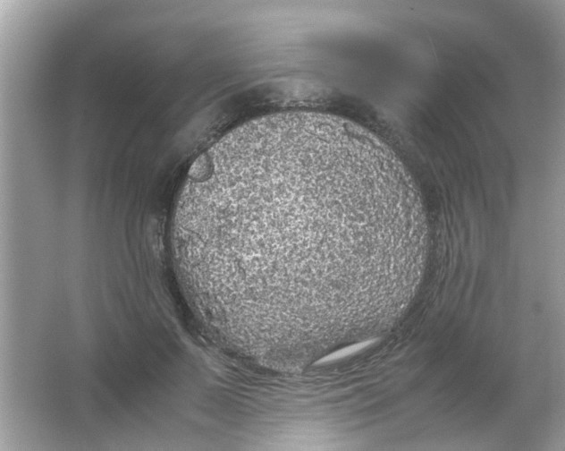 X0000065960695200603241847