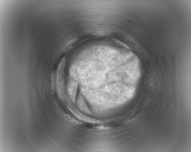 X0000065960696200603241847