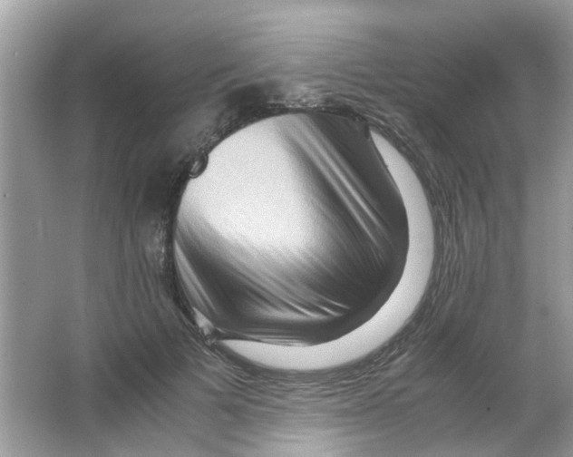 X0000065960697200603241847