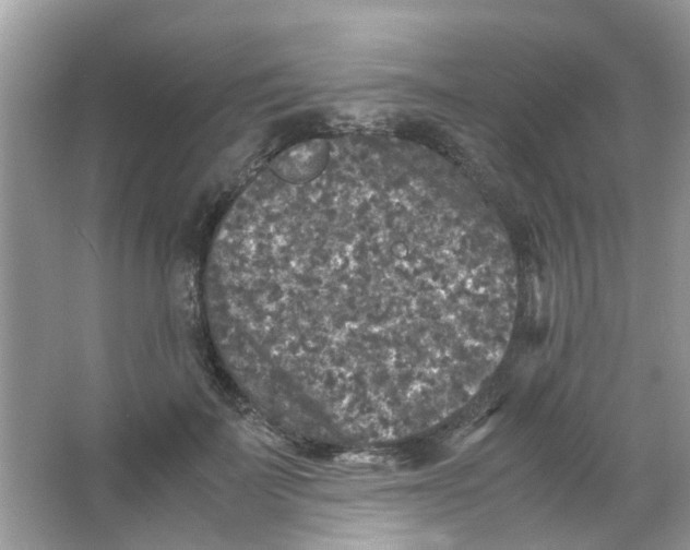 X0000065960699200603241847