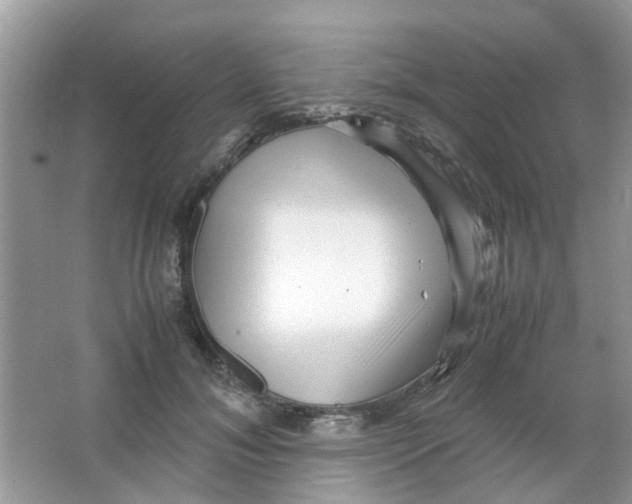 X0000065960700200603241847