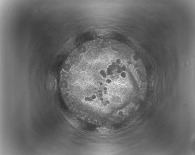 X0000065960703200603241847