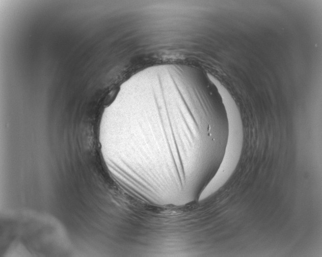 X0000065960704200603241847