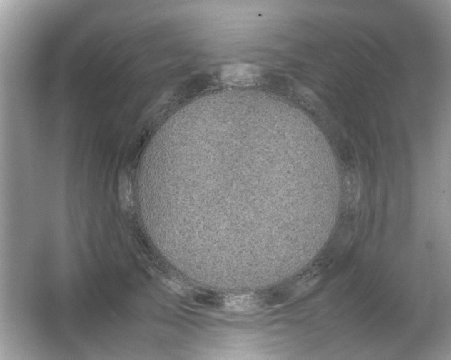 X0000065960705200603241847