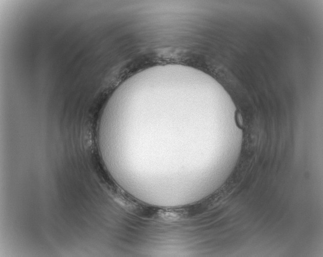 X0000065960706200603241847