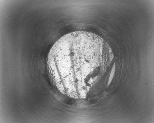 X0000065960707200603241847