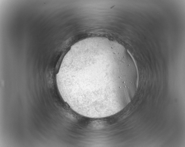 X0000065960708200603241847