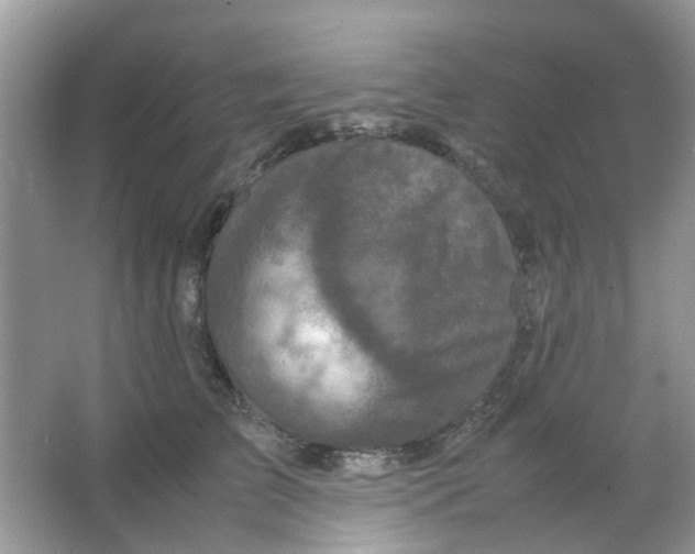 X0000065960709200603241847