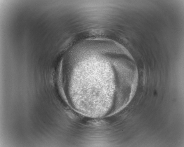 X0000065960712200603241847