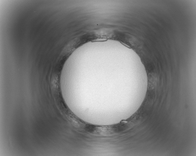 X0000065960713200603241847