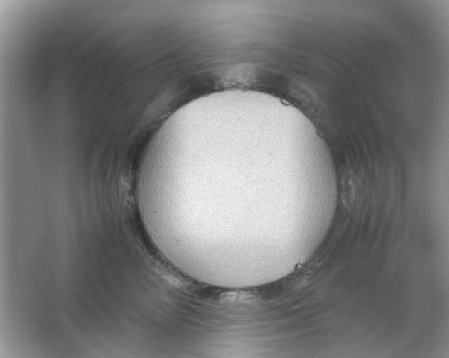 X0000065960714200603241847