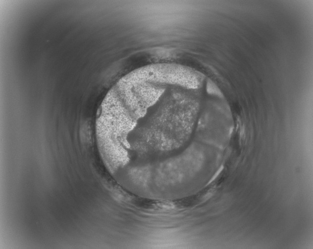 X0000065960715200603241847