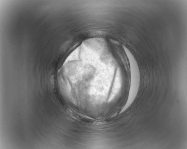 X0000065960716200603241847