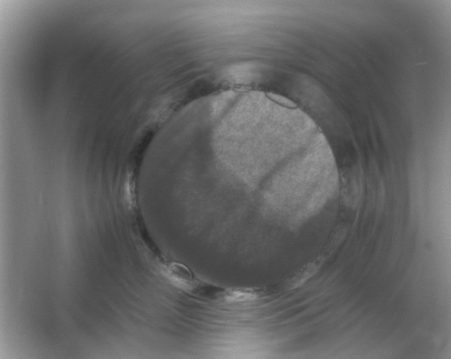 X0000065960718200603241847