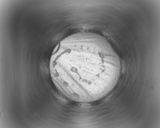 X0000065960719200603241847