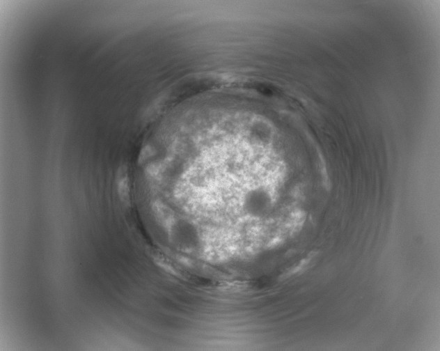 X0000065960720200603241847