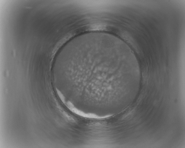 X0000065960721200603241846