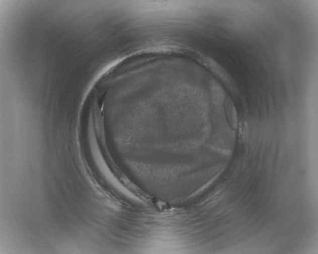 X0000065960724200603241846