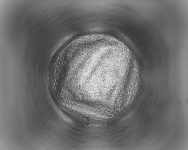 X0000065960725200603241846