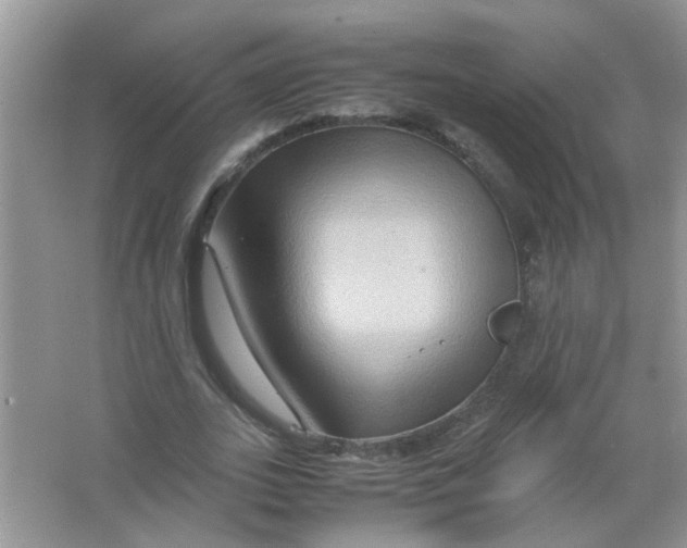 X0000065960727200603241846