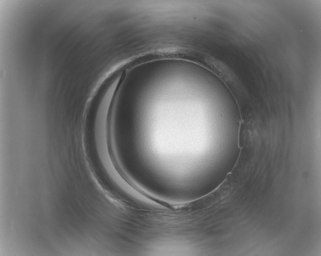 X0000065960728200603241846