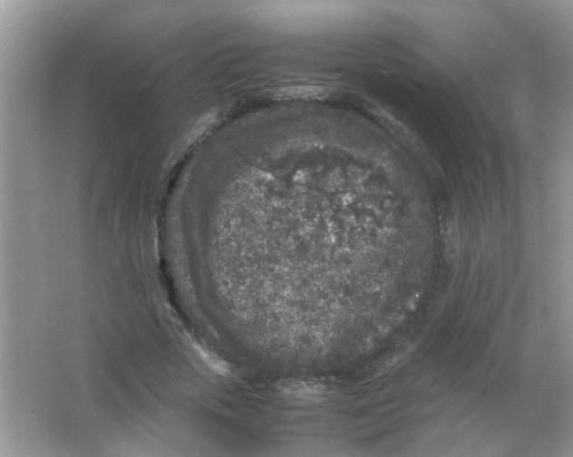 X0000065960729200603241846