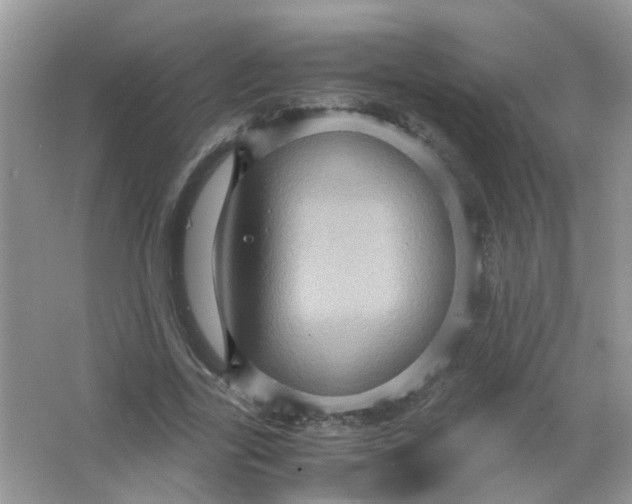 X0000065960731200603241846