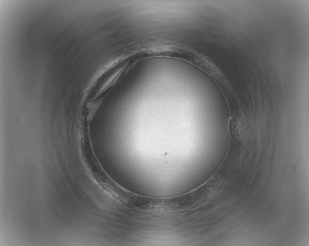 X0000065960732200603241846