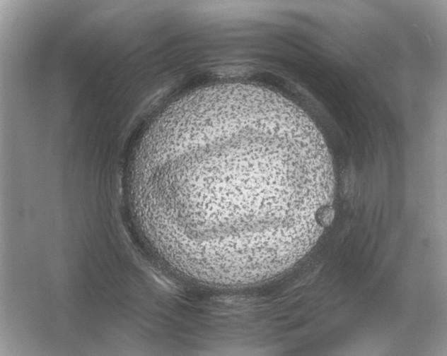 X0000065960733200603241846