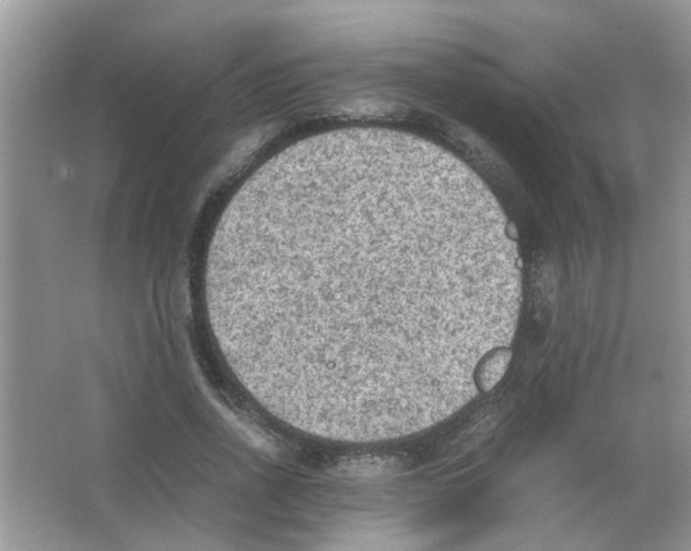 X0000065960734200603241846